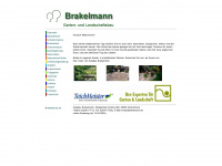 brakelmann.de Webseite Vorschau