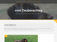djt-teuberschlag.de Webseite Vorschau
