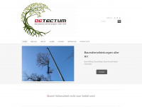 detectum.de Webseite Vorschau