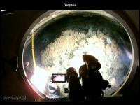 deepsea.de Webseite Vorschau