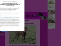deutsch-kurzhaar-hund.de Webseite Vorschau