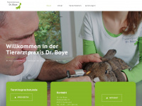 dr-boye.de Webseite Vorschau
