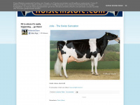 Holsteinstore.blogspot.com
