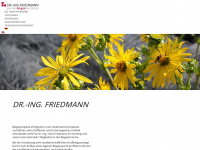 dr-friedmann.de Webseite Vorschau