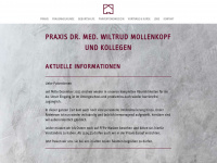 dr-mollenkopf.de Webseite Vorschau