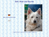 barfer.ch Webseite Vorschau