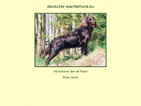 deutscher-wachtelhund.eu Webseite Vorschau