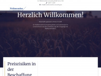dr-wellenreuther-consulting.de Webseite Vorschau