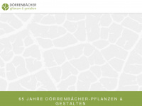 doerrenbaecher.info Webseite Vorschau