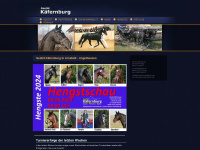 deutsches-sportpferd.org Webseite Vorschau