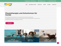 dogs-care.de Webseite Vorschau