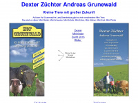 dexter-grunewald.de Webseite Vorschau