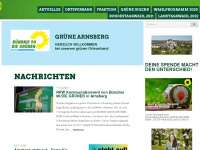 gruene-arnsberg.de Webseite Vorschau