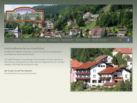 hotel-schwarzwald-panorama.de Webseite Vorschau
