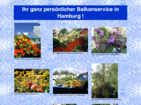 balkon.service.ms Webseite Vorschau