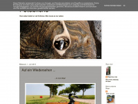 fotoblicke.blogspot.com Webseite Vorschau