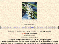 orchidspecies.com Webseite Vorschau