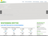 winterberg-wetter.de Webseite Vorschau