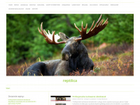 reptilica.pl Webseite Vorschau