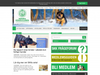 skk.se Webseite Vorschau