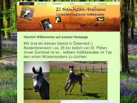 el-hambizan.com Webseite Vorschau