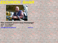 eschrich-gmbh.de Webseite Vorschau