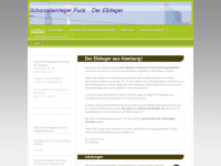 elbfeger.de Webseite Vorschau