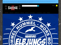 elbjungs.com Webseite Vorschau