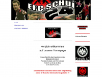 efcschui24.de Webseite Vorschau