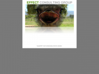 effect-consulting.de Webseite Vorschau