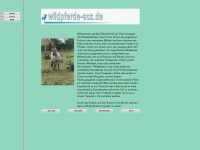 equidenpark-germania.de Webseite Vorschau