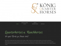 equine-service.de Webseite Vorschau