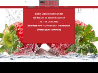 erdbeerfest-erbach.de Webseite Vorschau