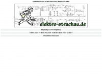 elektro-strachau.de Webseite Vorschau