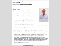 ew-consulting.com Webseite Vorschau