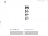 junginstitut.ch Webseite Vorschau