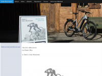baderbike.ch Webseite Vorschau