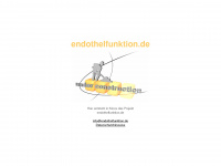 endothelfunktion.de Webseite Vorschau