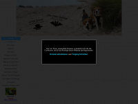 beagle24.de Webseite Vorschau