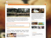 praehistorische-archaeologie.de Webseite Vorschau