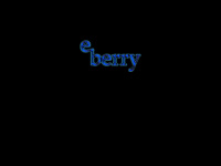 eberry.de Webseite Vorschau