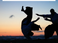aikido-hessen.de Webseite Vorschau