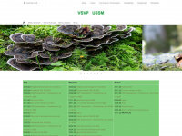 vsvp.com Webseite Vorschau