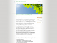 energyconsult-vk.de Webseite Vorschau