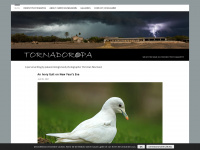 tornadoropa.eu Webseite Vorschau