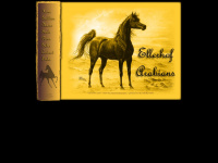 Ellerhof-arabians.de