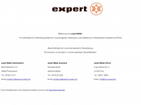 expert-michel.de Webseite Vorschau