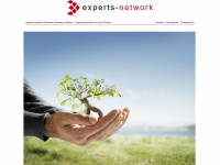 experts-network.de Webseite Vorschau