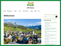 svp-steinen.ch Webseite Vorschau