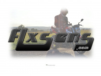 flxsens.com Webseite Vorschau